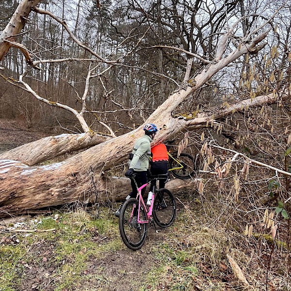 Dein Guide für echtes Teambuilding